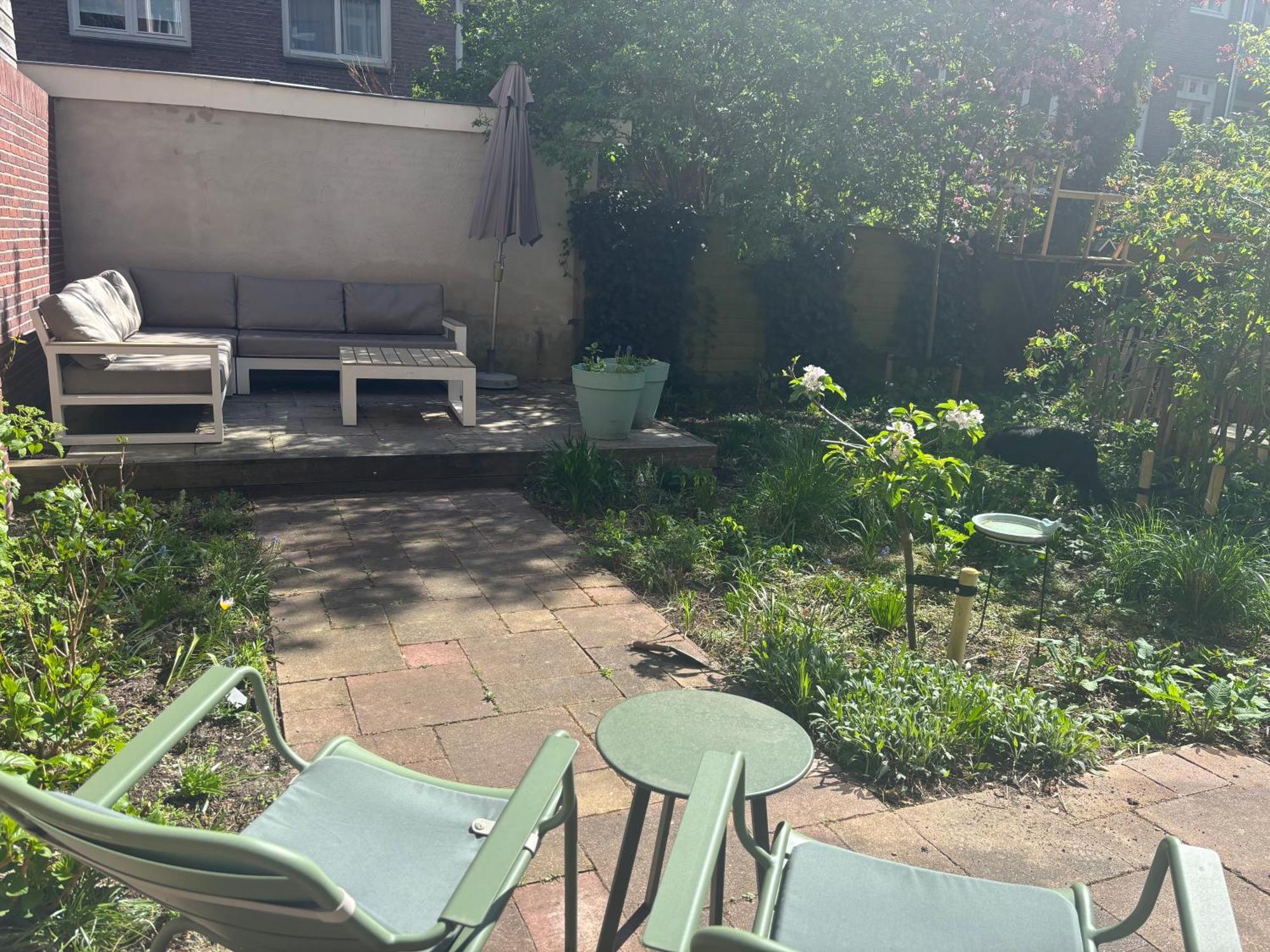 Apartment Spacious With Garden In Centre