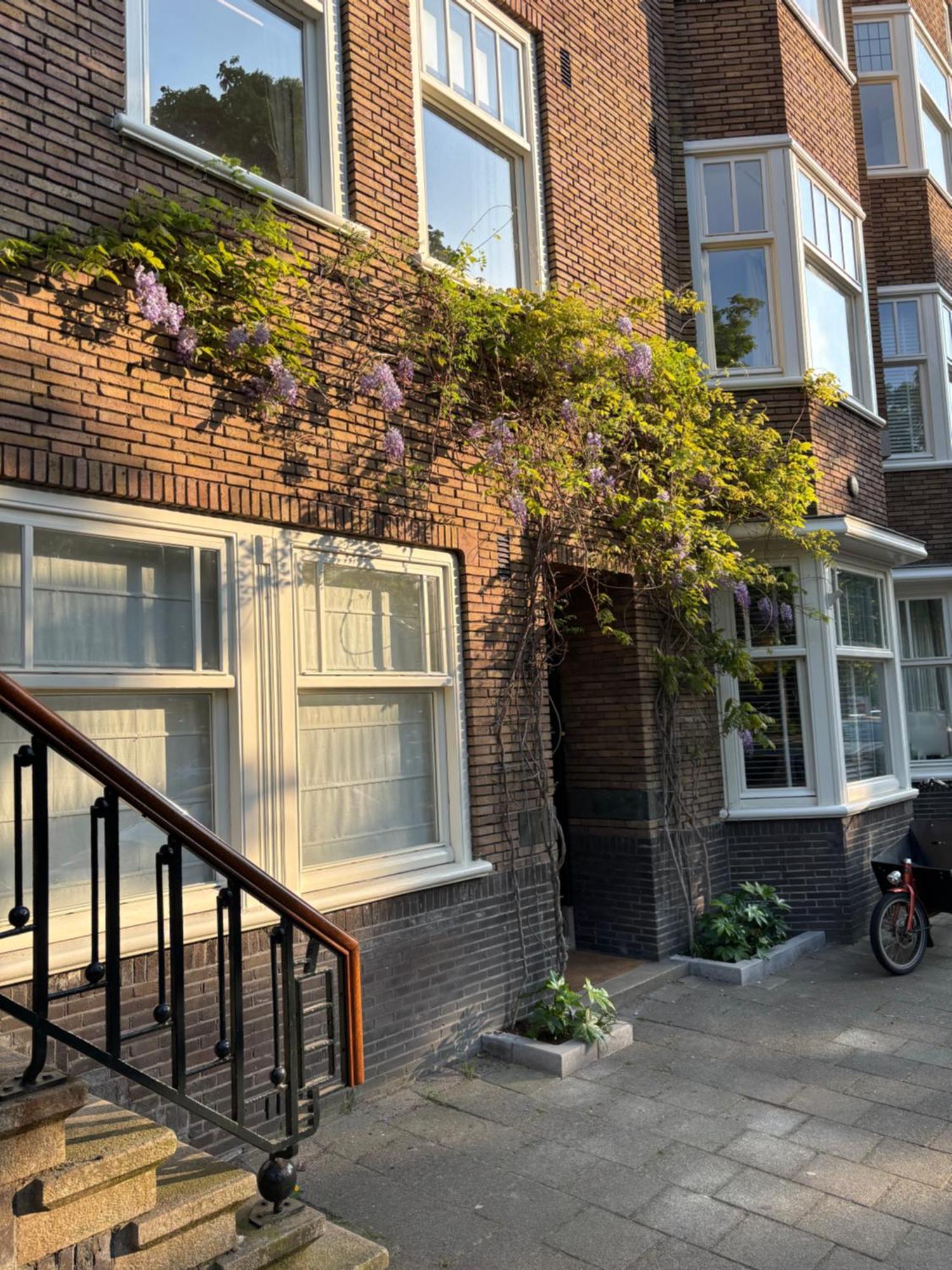 Apartment Spacious With Garden In Centre Amsterdam